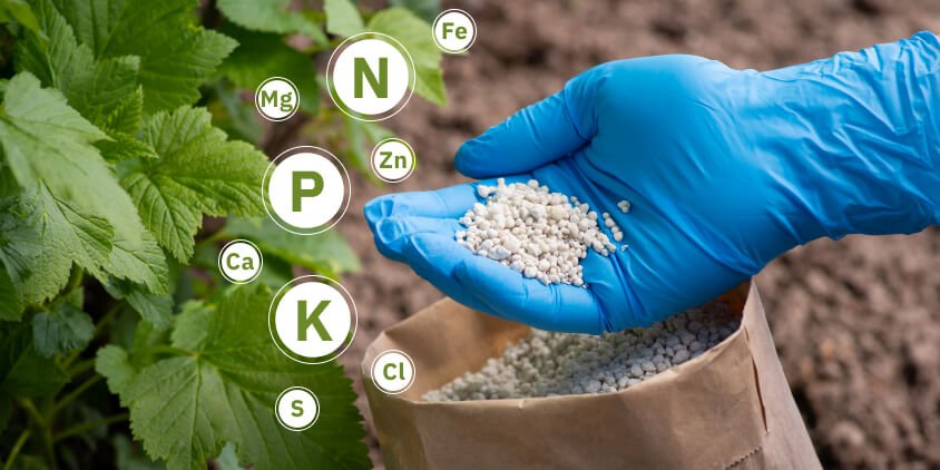 Beijing reasserts control over Nitrogen trade with managed reopening of Urea exports
