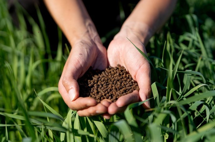 Global fertilizer trade hits $81 Bn as energy volatility, Strait of Hormuz disruptions and geopolitical risks reshape supply chains: FAO