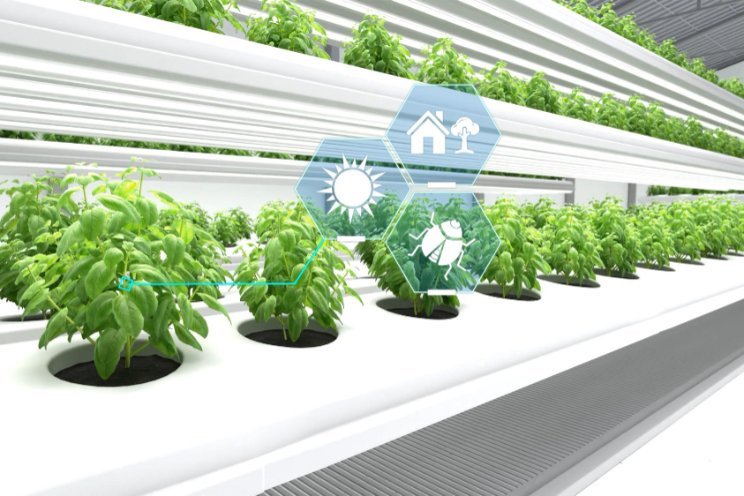 Scanit launches AI-powered SporeWarn network to detect airborne crop diseases before outbreaks