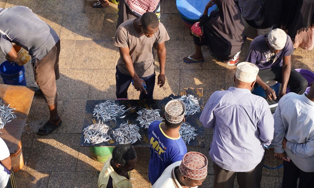 Fisheries and Aquaculture Linked to Economic Growth Across Africa, Study Finds
