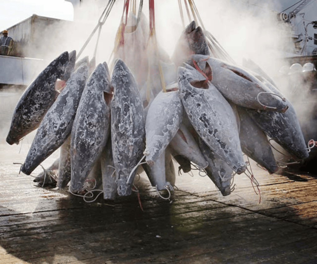 Indonesia moves to expand fishery exports to Türkiye with 63 processing units