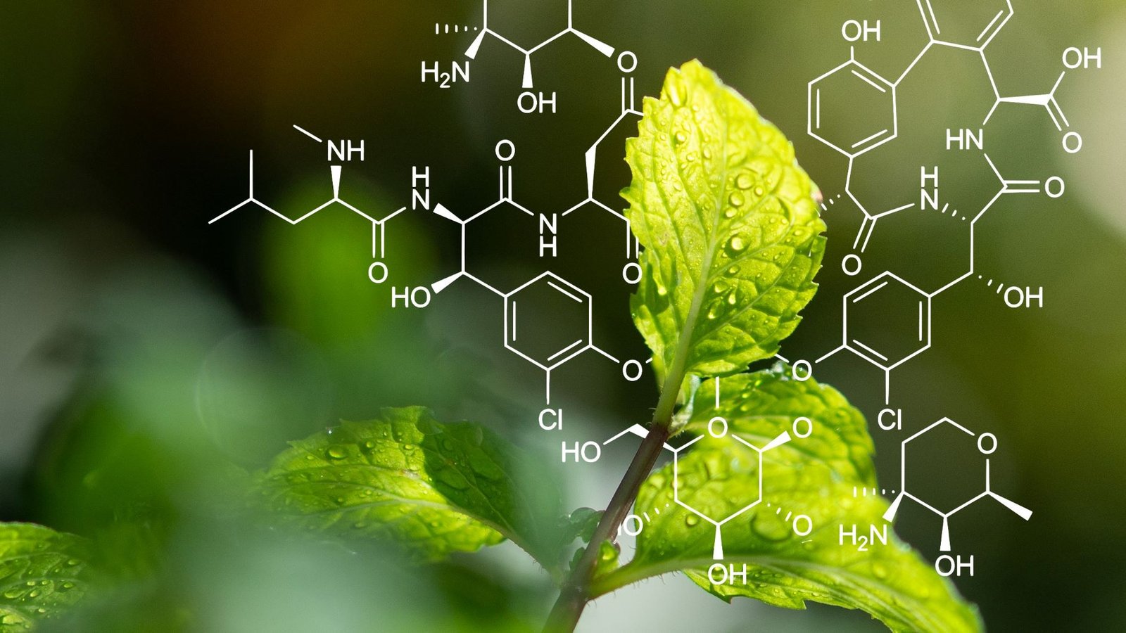 Corteva bets on Moa Technology to fast-track novel herbicide discovery