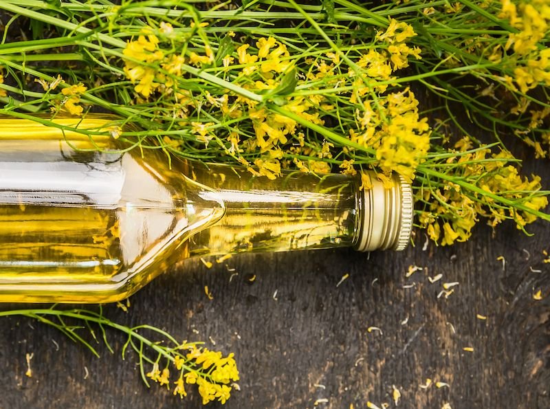 German rapeseed oil exports fall as EU biofuel demand reshapes market
