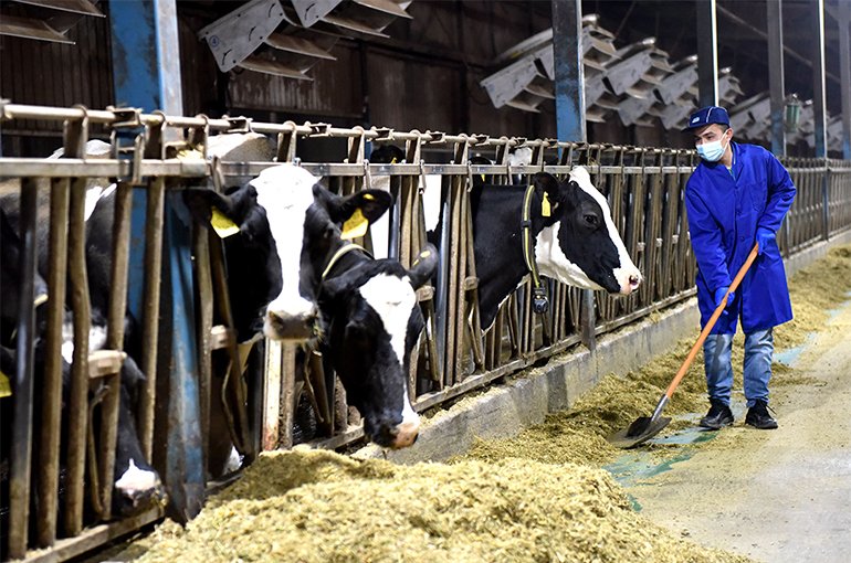 Meiji exits China dairy business as AustAsia acquires drinking milk, yogurt and B2B operations