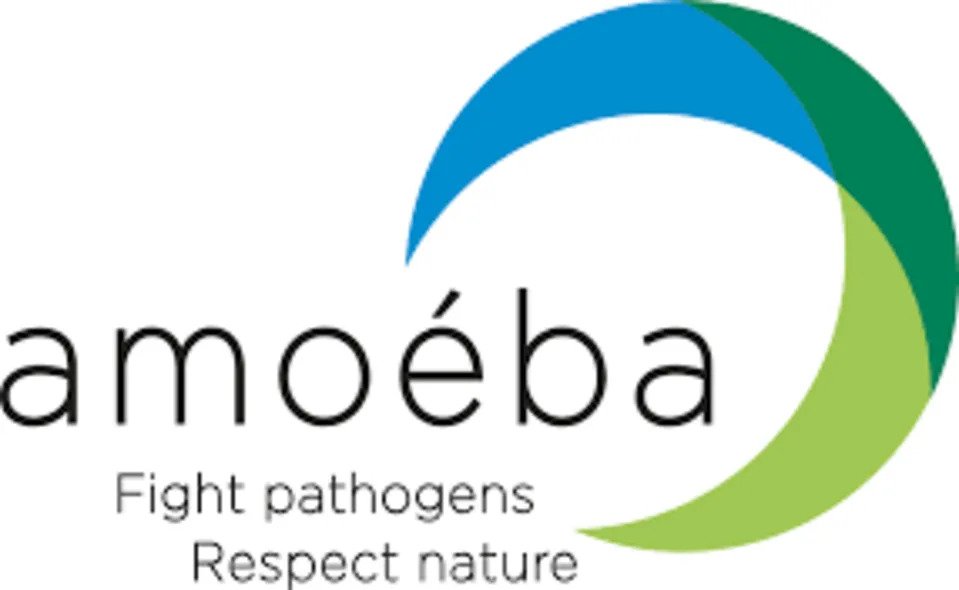 Syngenta, Amoéba forge European Cereal Biocontrol Alliance as fungicide options shrink