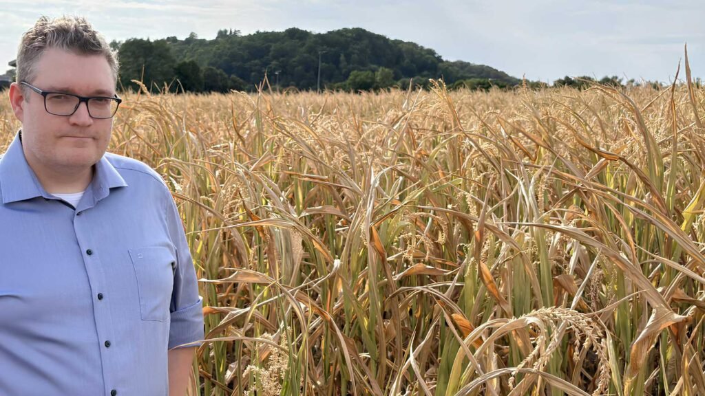 Computomics raises €6.3 Million Series B to scale climate-smart crop breeding platform