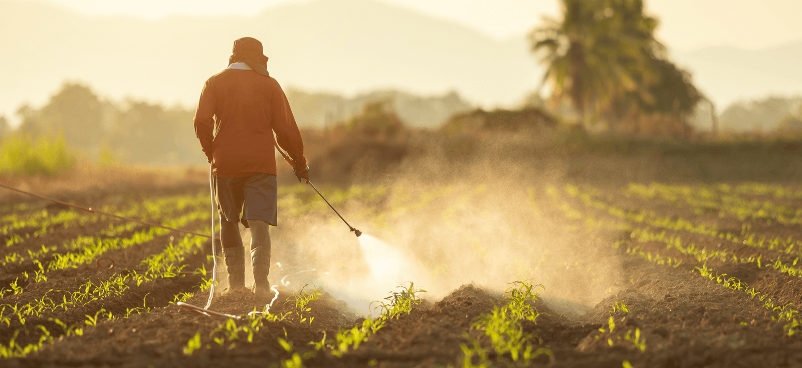 Agrochemical sector gets major regulatory boost as India approves new active ingredients and formulations