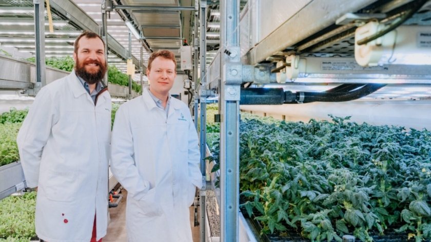 Beck's, Ragt partner with Phytoform to accelerate AI-driven corn trait development