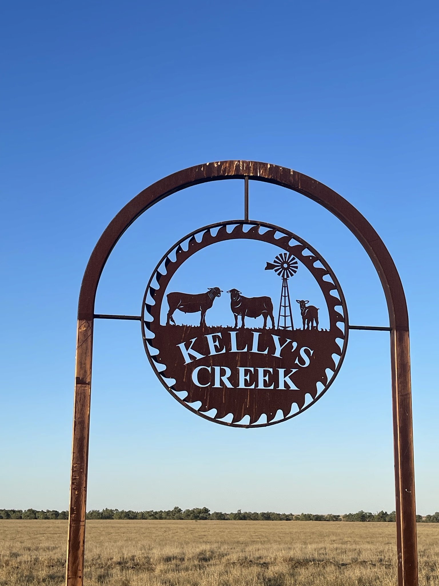 Viresco Group launches Queensland Farmland Fund with acquisition of 22,000 hectare Queensland beef aggregation
