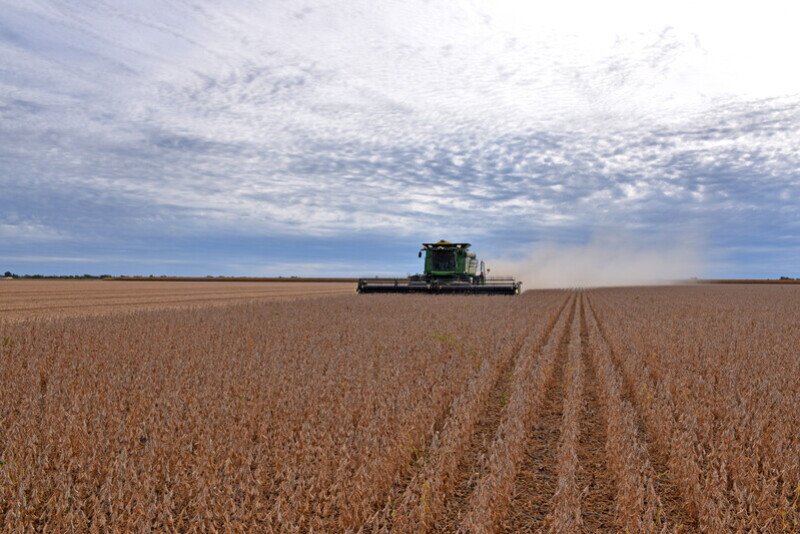 China’s agrochemical makers pour investment into Glufosinate-P