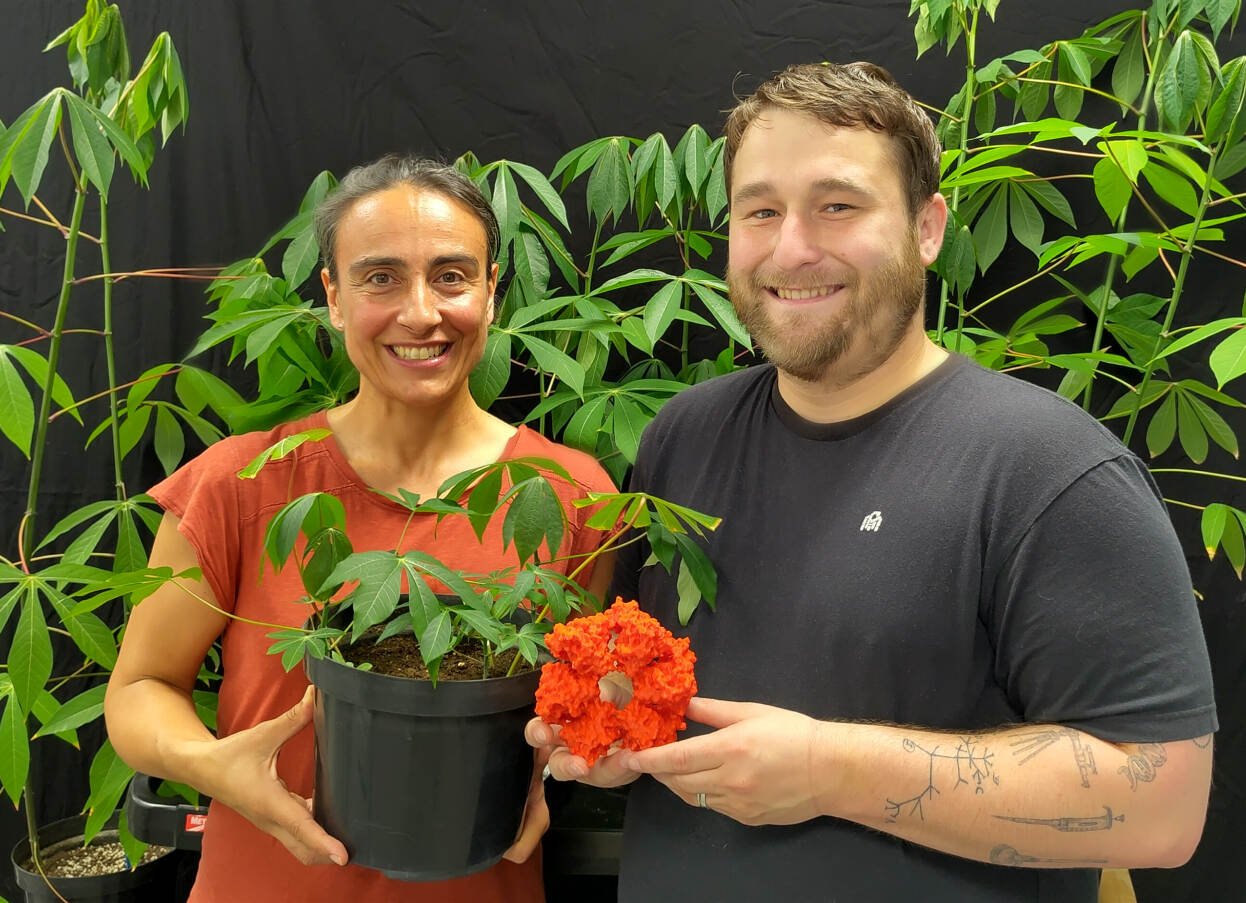 $4.94 Mn HeatSmart Cassava Project takes on warming world