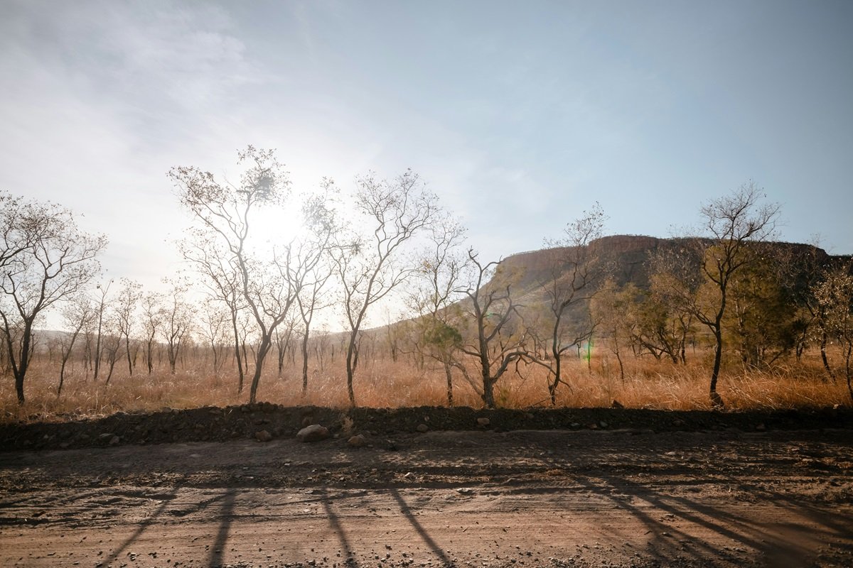 Super El Niño threat raises food inflation risks across India, Brazil and Mexico