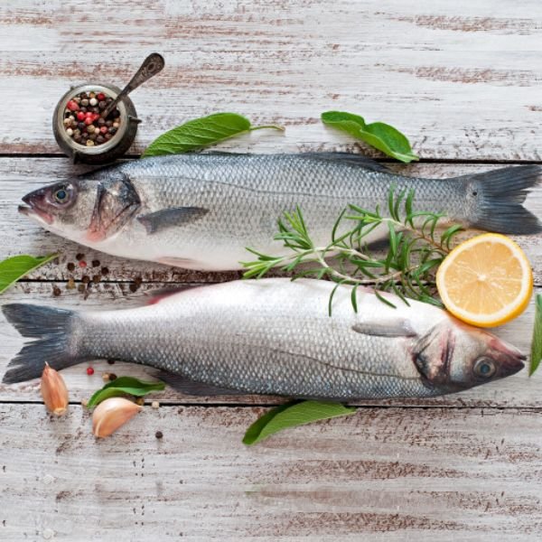 France’s first ASC-Certified Seabass and Seabream Farm marks milestone for aquaculture