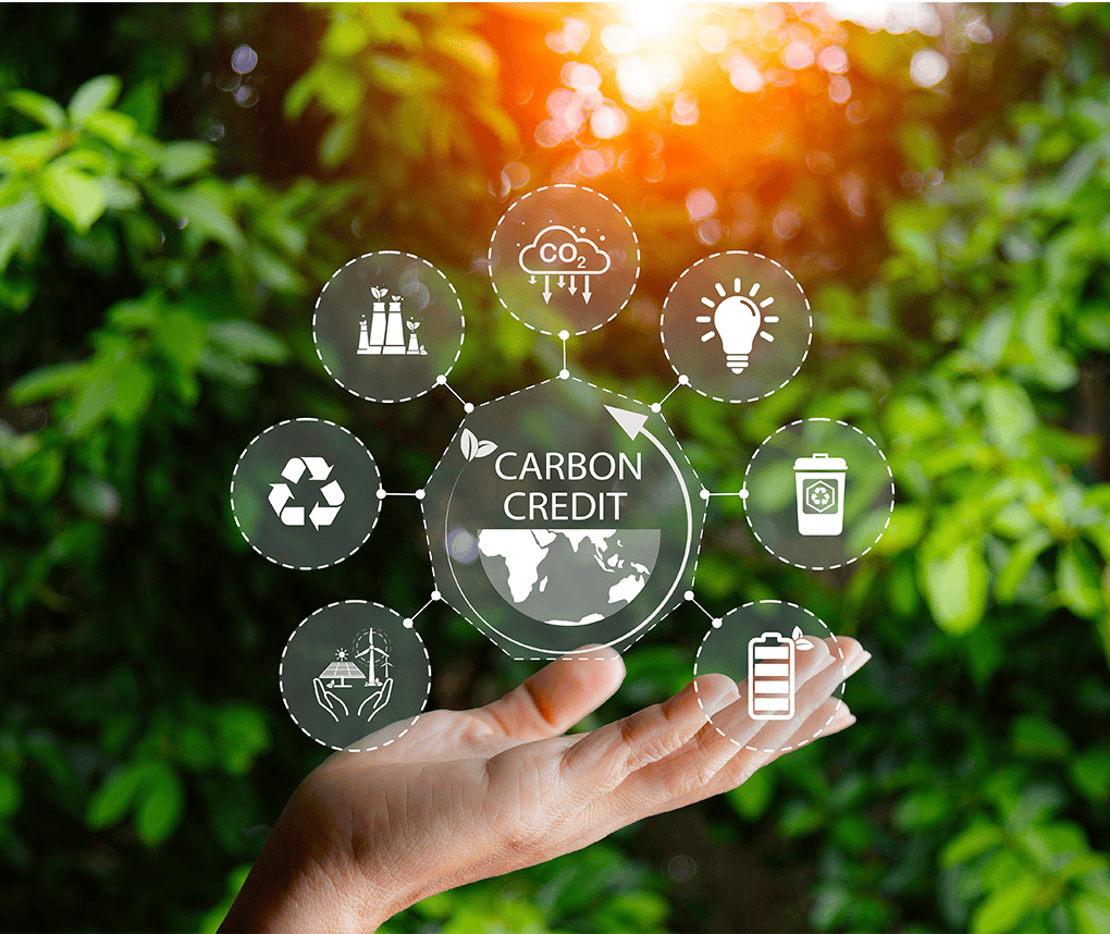 Brazil courts China for ITMO demand as carbon market takes shape