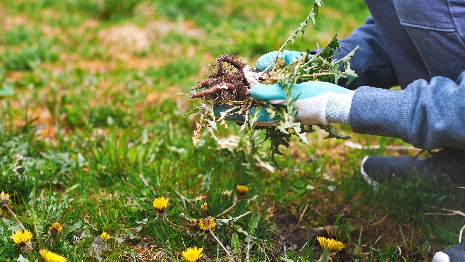 Corteva taps Moa Technology's discovery platform for future herbicide development