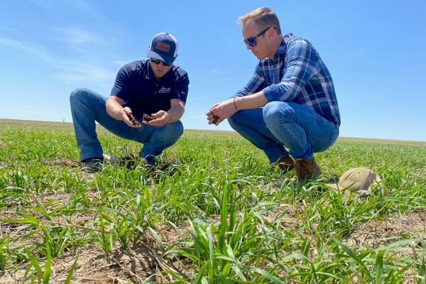 Locus Agriculture expands Unpac Soil Technology as compaction emerges as bigger crop-performance challenge