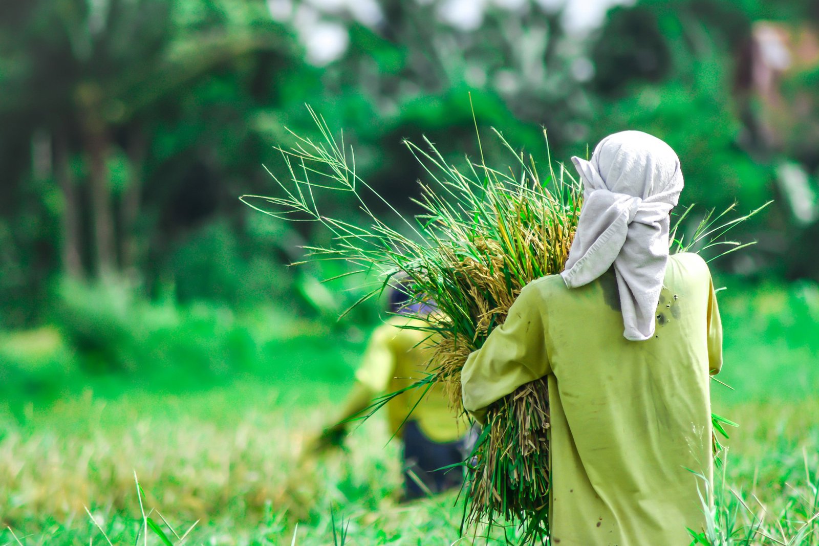Next trade barrier in agriculture isn't tariffs—It's microbes
