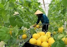 Vietnam looks to Israeli agri-tech to boost productivity and climate adaptation