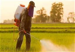 China’s agrochemical market splits in two as profit growth breaks from revenue scale