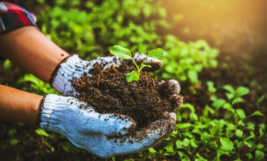 Ghana advances organic farming push as MoFA signs $10 Million Fertiliser Plant Agreement with Omanbapa AgriTech