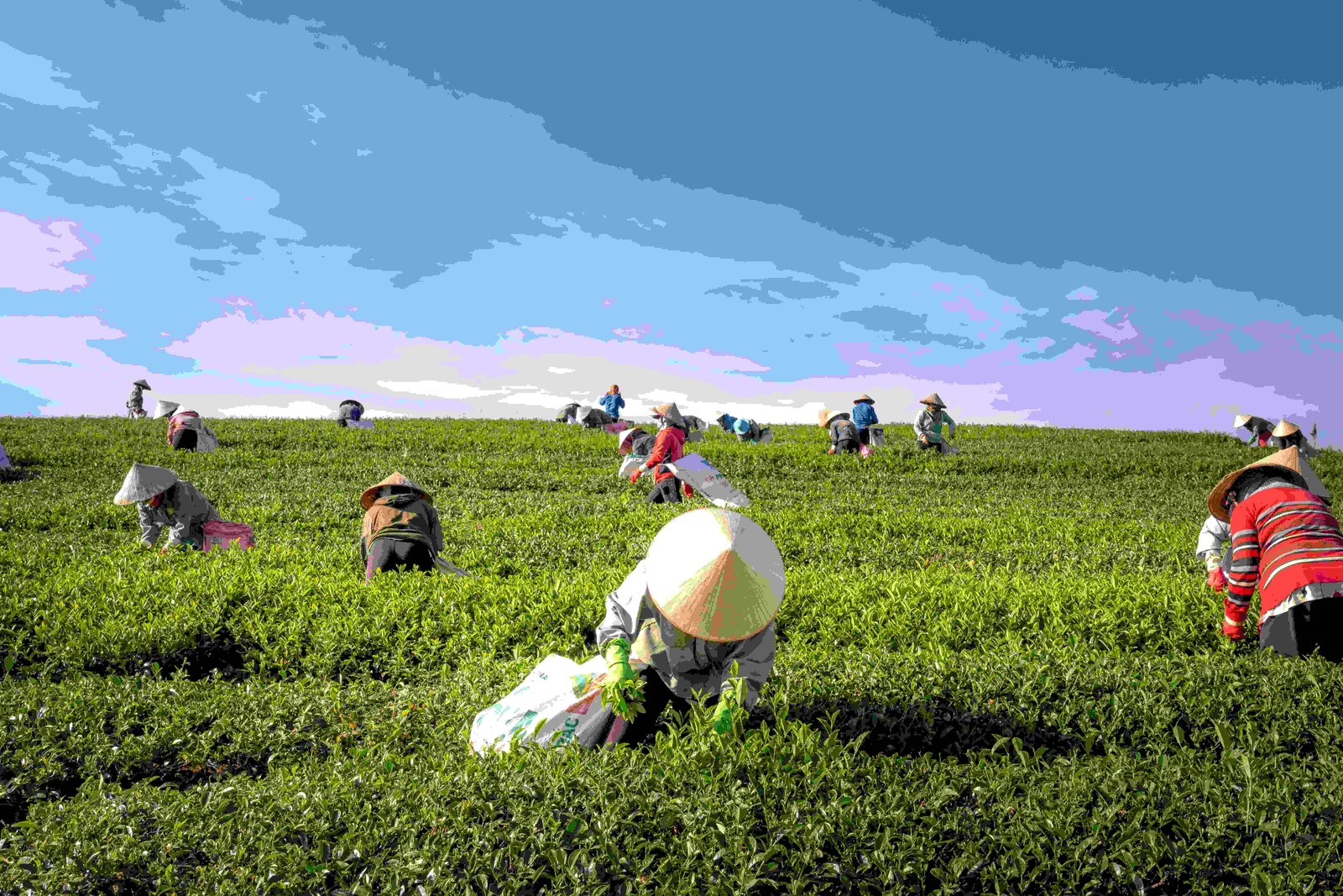 China signals robust herbicide innovation with 174 registration applications