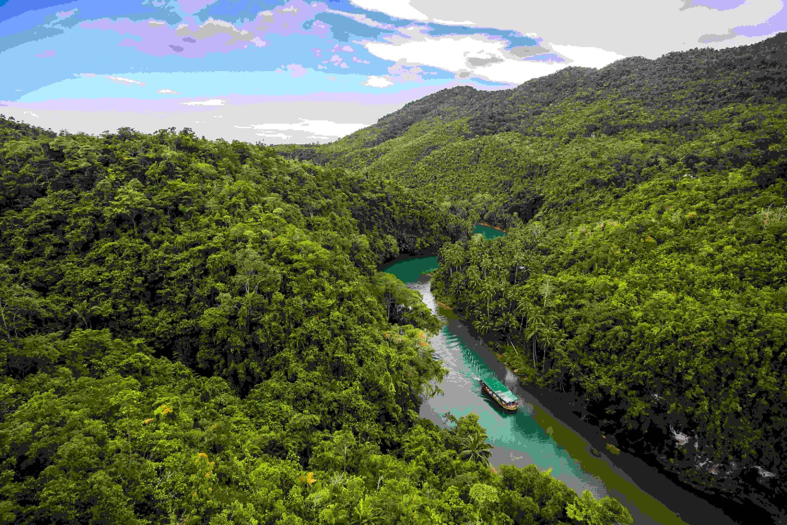 Philippines moves to monetise forest carbon as climate finance demand accelerates