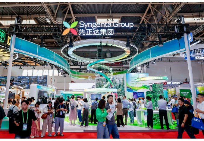 Syngenta, McDonald’s and McCain join forces to future-proof China’s potato supply chain