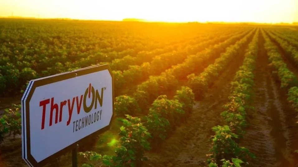 Bayer eyes 2028 launch of ThryvOn-enabled cotton platform in Brazil
