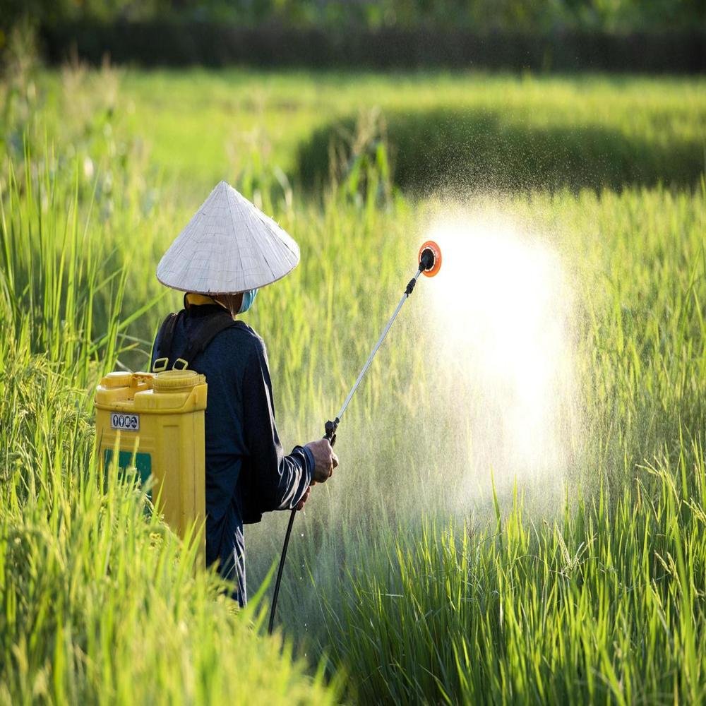Jiangxi Huashi plans $5.87 Mn pesticide capacity upgrade in China