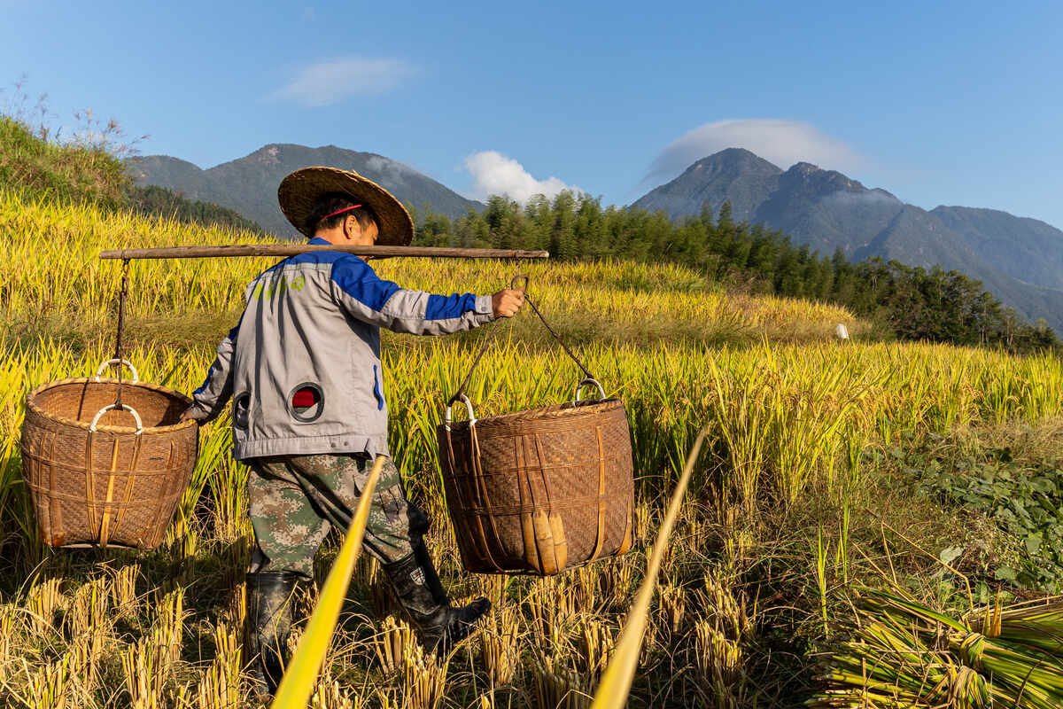 China publishes updated list of 60 banned pesticides to tighten enforcement and safeguard food safety