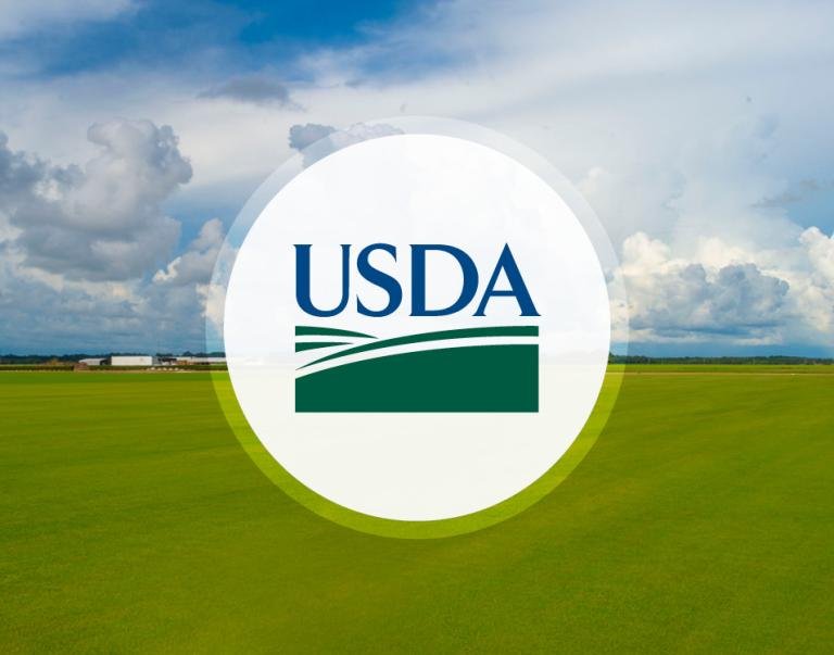 USDA to launch AI challenge for faster crop breeding using germplasm data