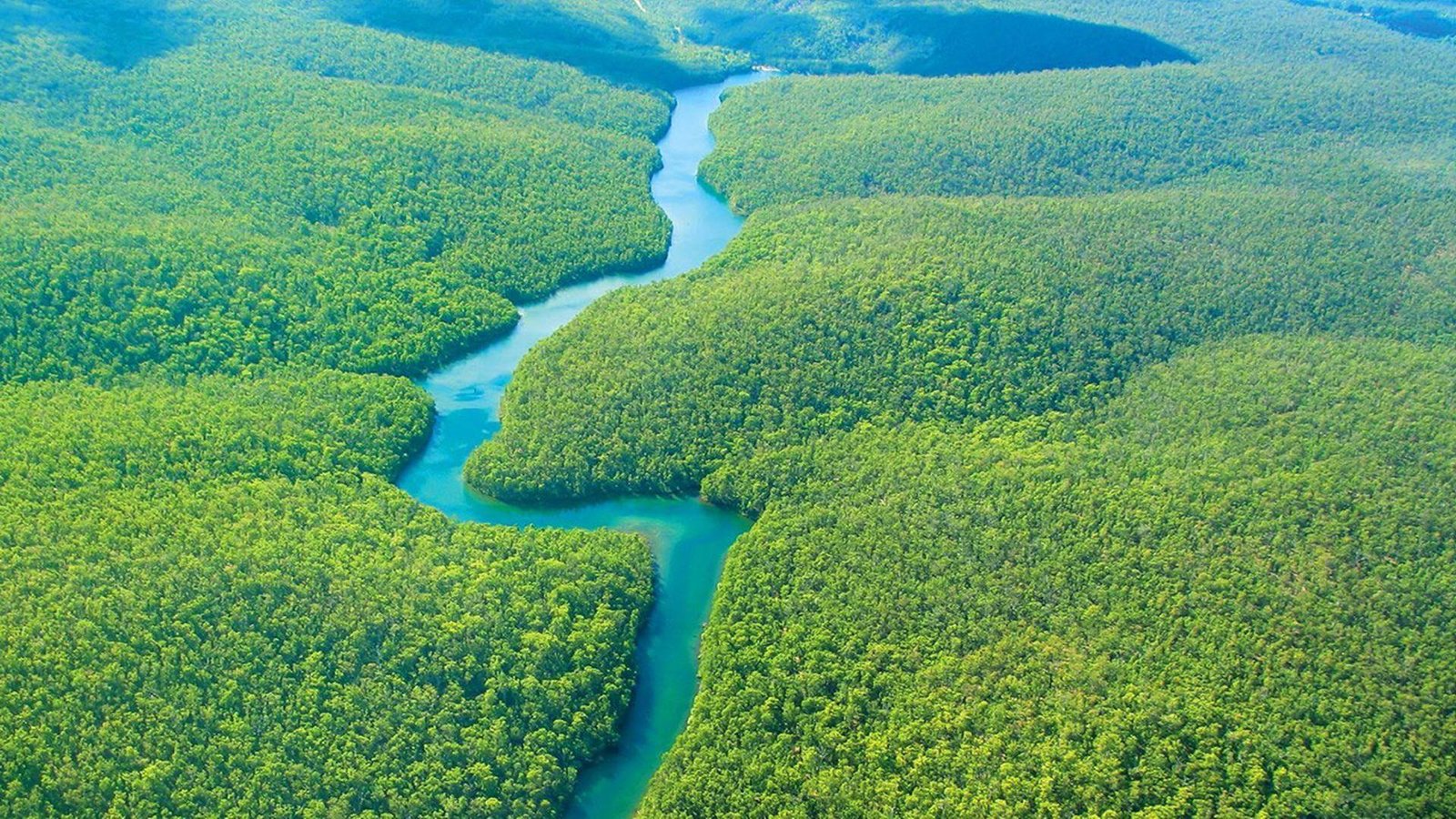 Mombak secures BNDES backing as it targets $150 Million for Amazon restoration