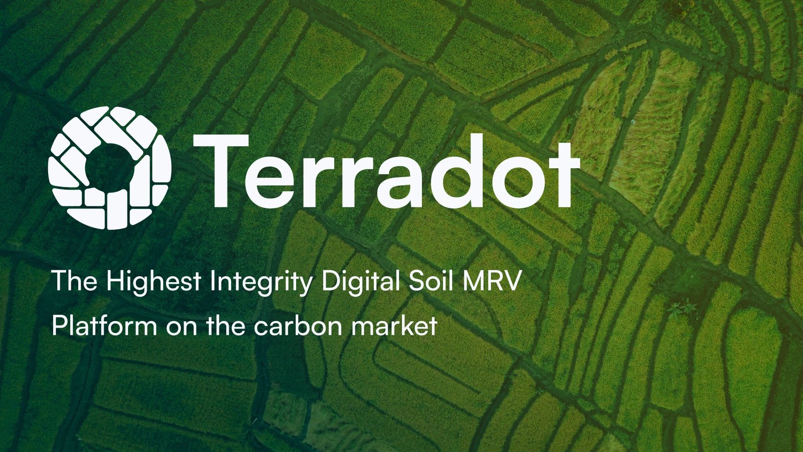 Google makes its largest carbon removal purchase through Terradot deal